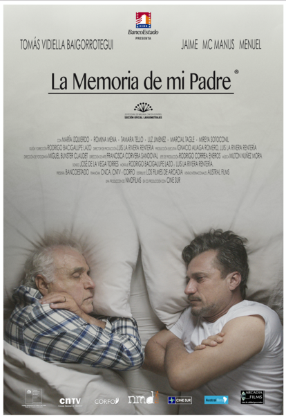 Afiche Pelicula