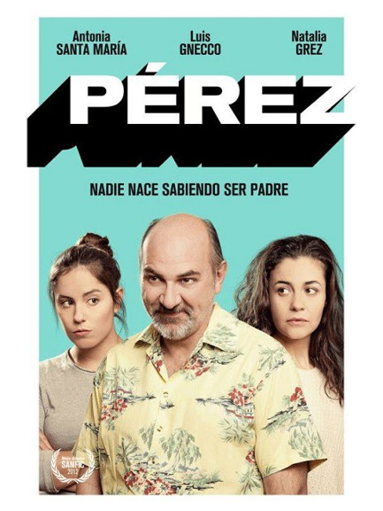 Afiche Pelicula