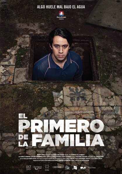 Afiche Pelicula