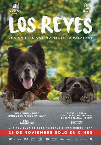 Afiche Pelicula