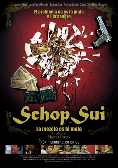 Afiche Pelicula