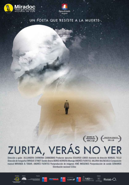 Afiche Pelicula