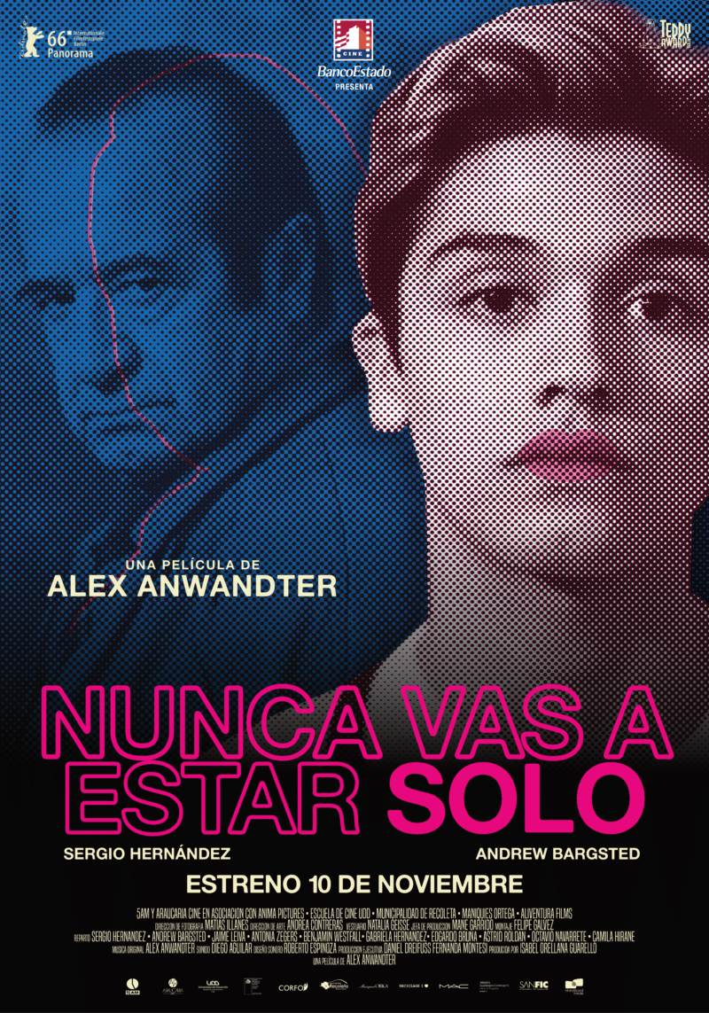 Afiche Pelicula